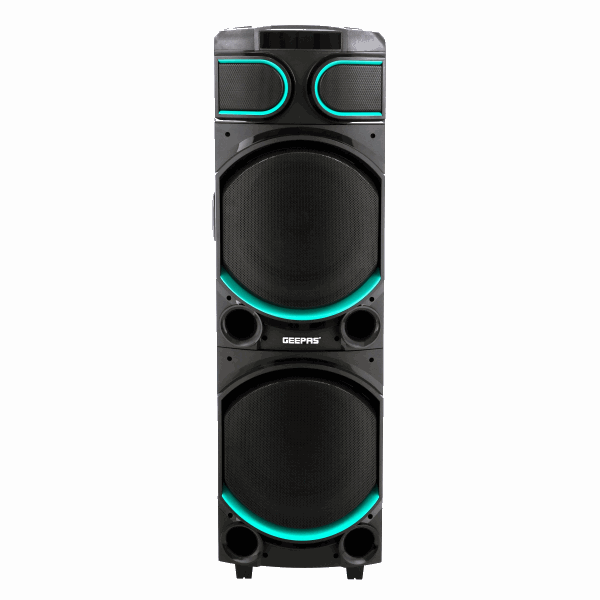 GEEPAS Speaker (amplifier) GMS11170