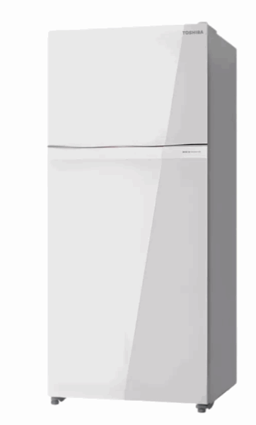 TOSHIBA Refrigerator Freezer in top GR-RT835WE-PGJ(B5)