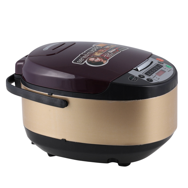 REDMOND Multicooker RMC-M100