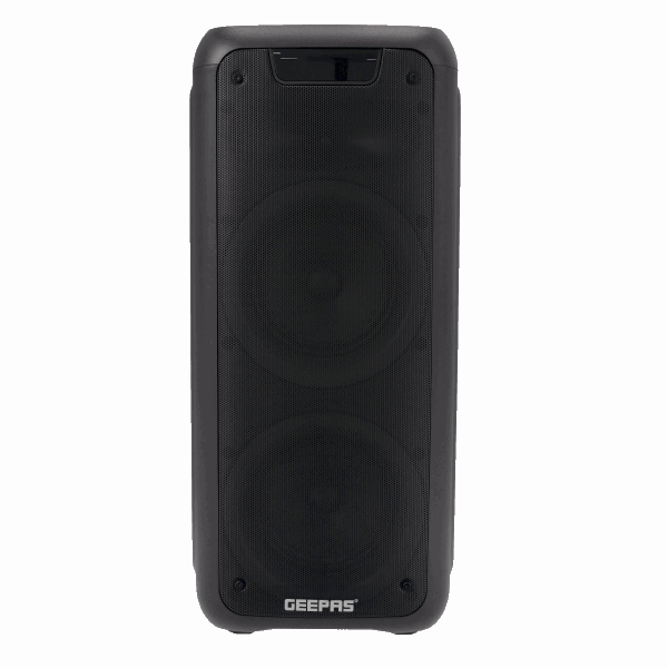 GEEPAS Speaker (amplifier) GMS11168