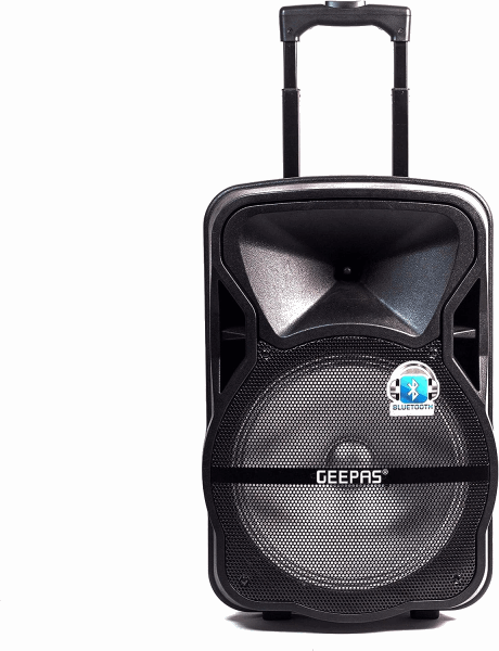 GEEPAS Динамик GMS8568
