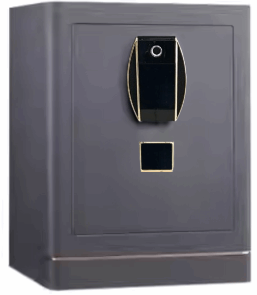 HOFFMANN Չհրկիզվող պահարան YS45 39x45x34 25kg