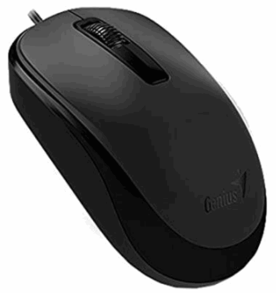 GENIUS Мышка DX-125 USB Black+Grey