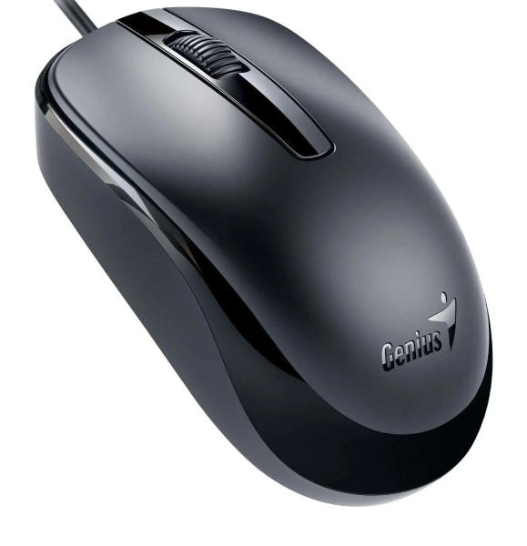 GENIUS Мышка DX-120 USB black