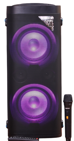 GEEPAS Speaker (amplifier) GMS11160N