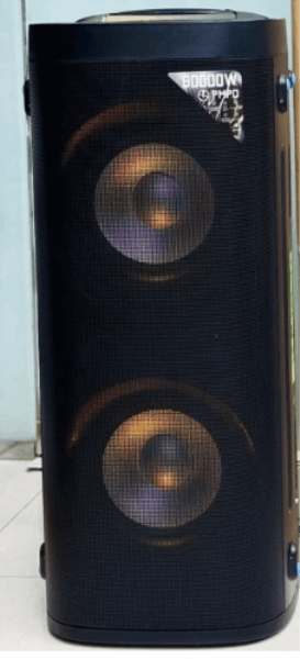 GEEPAS Բարձրախոս (ուժեղացուցիչով) GMS11160N