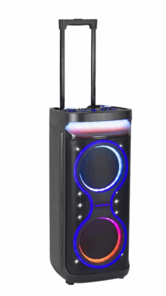 KOLAV Speaker (amplifier) D2835