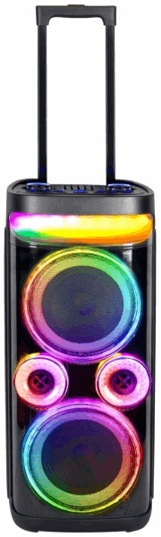 KOLAV Speaker (amplifier) D2618