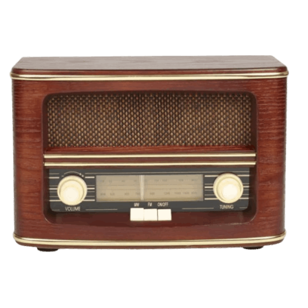 HOFFMANN Բարձրախոս (ուժեղացուցիչով) AEW510A