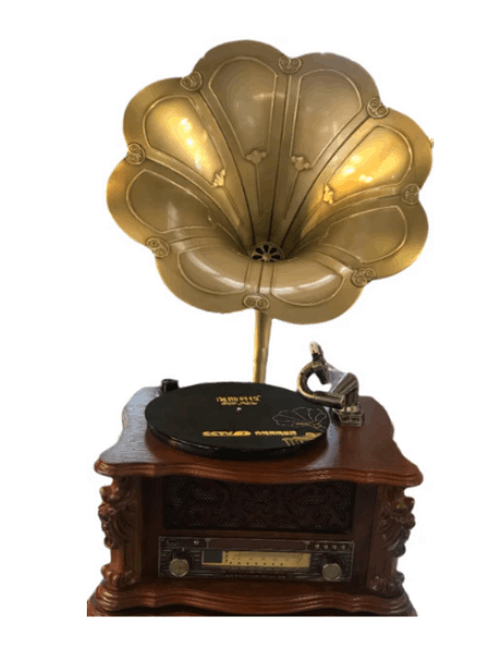 HOFFMANN Բարձրախոս (ուժեղացուցիչով) SP1808