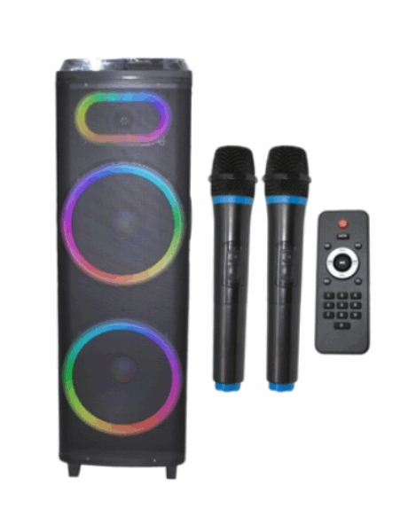 KOLAV Speaker (amplifier) D5505