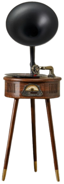 HOFFMANN Բարձրախոս (ուժեղացուցիչով) SP1806A