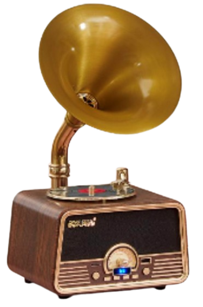 HOFFMANN Բարձրախոս (ուժեղացուցիչով) MT2020