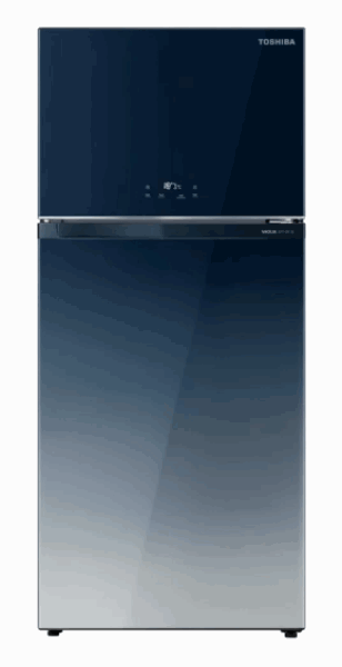 TOSHIBA Refrigerator Freezer in top GR-RT835WE-PGJ(GG)
