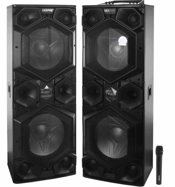 GEEPAS Speaker (amplifier) GMS8569