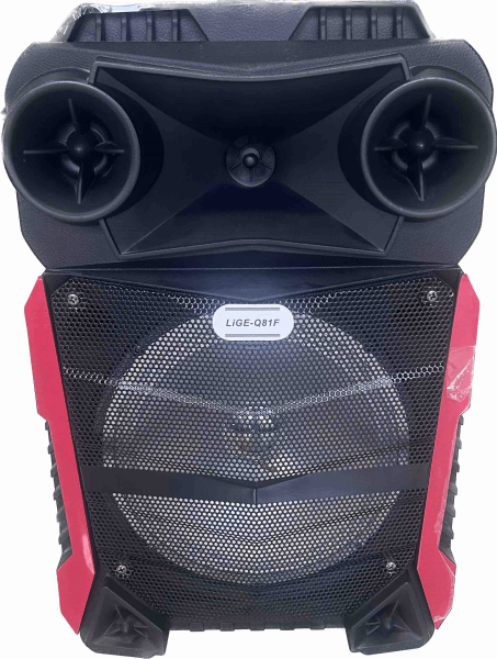 LIGE Speaker Q81F