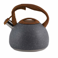 Kettle RUYIHOFF RY-86-(B003A3L) gray