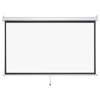 PROJECTOR SCREEN LW MPS 240M (240x240) manual