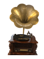 SPEAKER Amplifier HOFFMANN SP1808