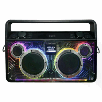 SPEAKER Amplifier KOLAV D2616