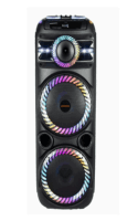 SPEAKER Amplifier KOLAV F2122