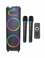 SPEAKER Amplifier KOLAV D5505