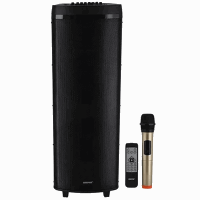 SPEAKER Amplifier GEEPAS GMS11153