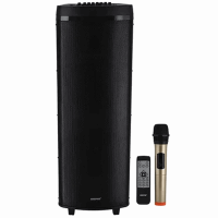 SPEAKER Amplifier GEEPAS GMS11153